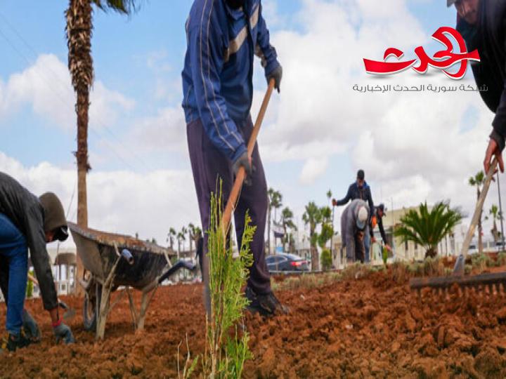 "هيئة المنافذ": جهود متواصلة لتجميل معبر نصيب الحدودي