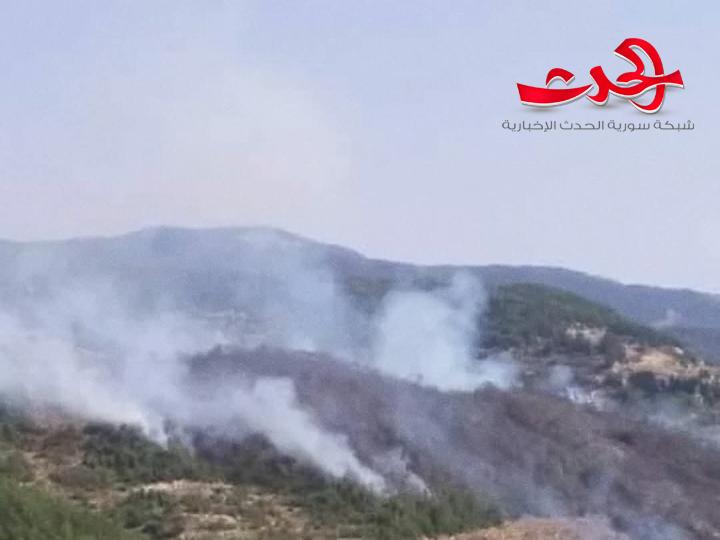 اندلاع حريق حراجي في بلدة مشتى الحلو بريف طرطوس