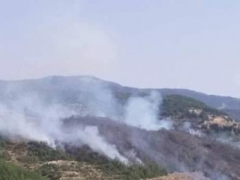 اندلاع حريق حراجي في بلدة مشتى الحلو بريف طرطوس